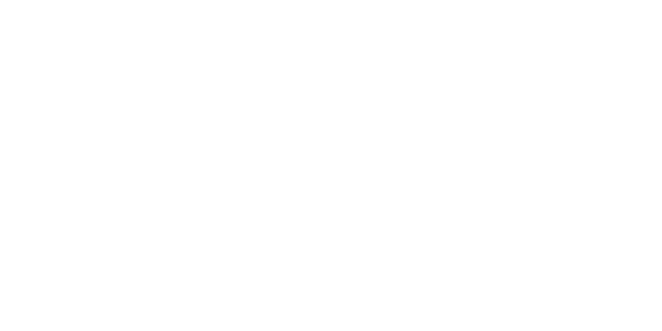 에이스 게이밍 logo